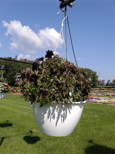 image01