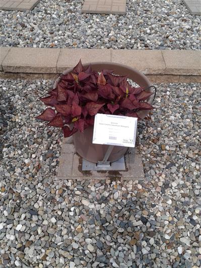 image01