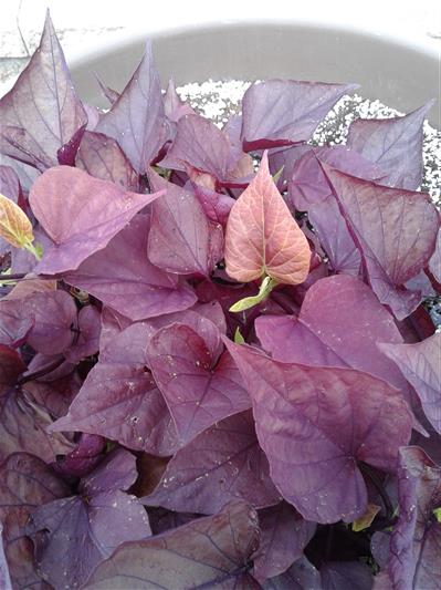 image01