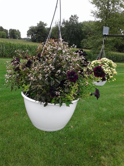 image01