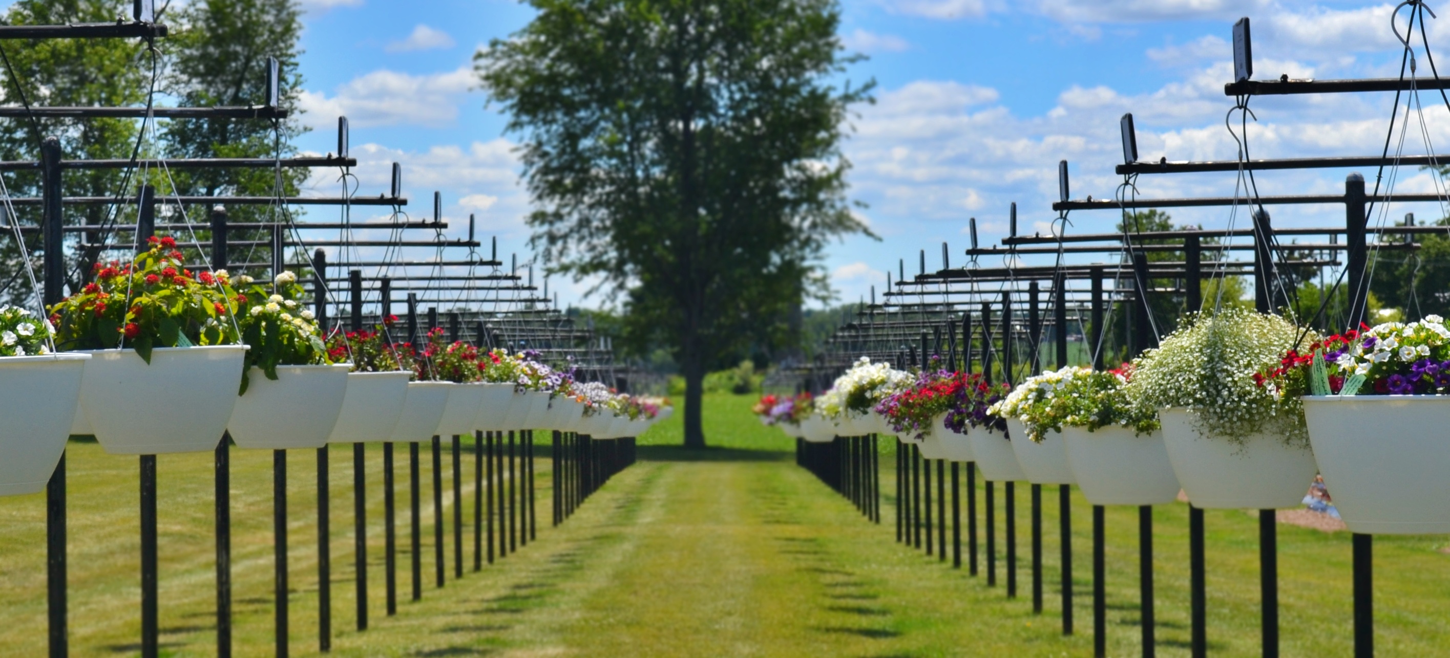 Raker Trial Gardens