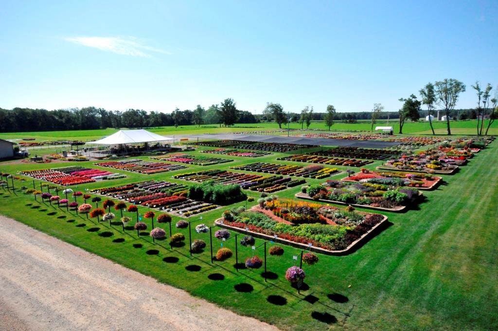 Trial Grounds