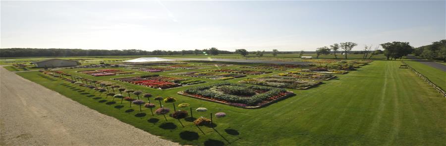 Trial Grounds