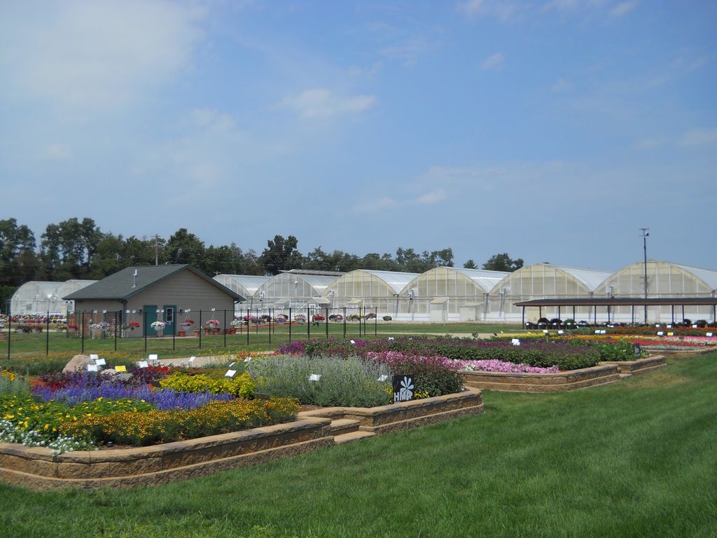 Trial Grounds