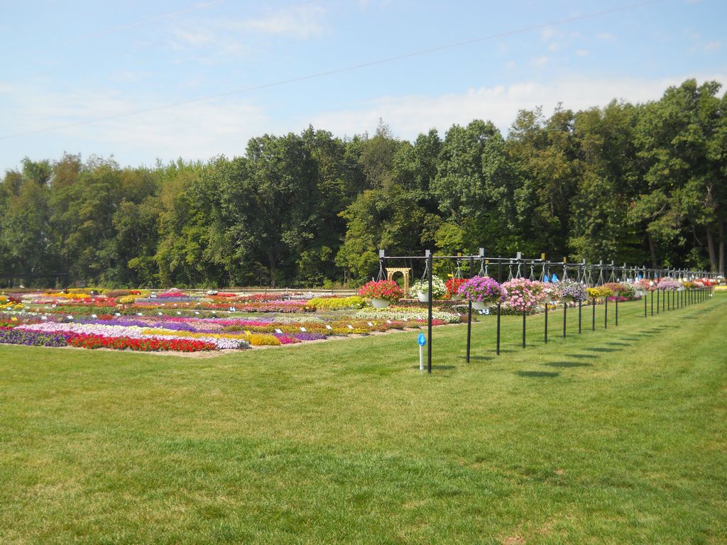 Trial Grounds