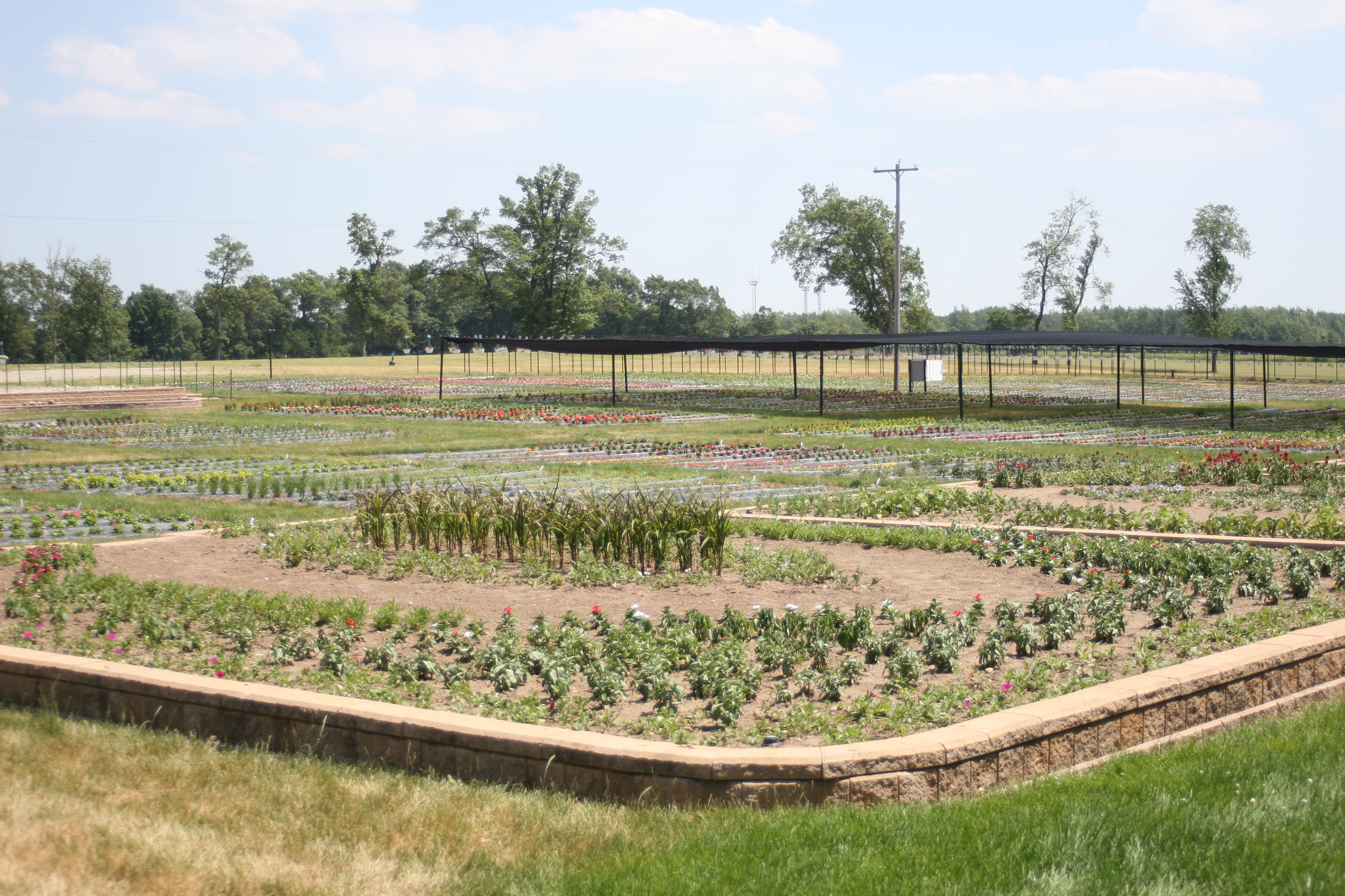 Trial Grounds