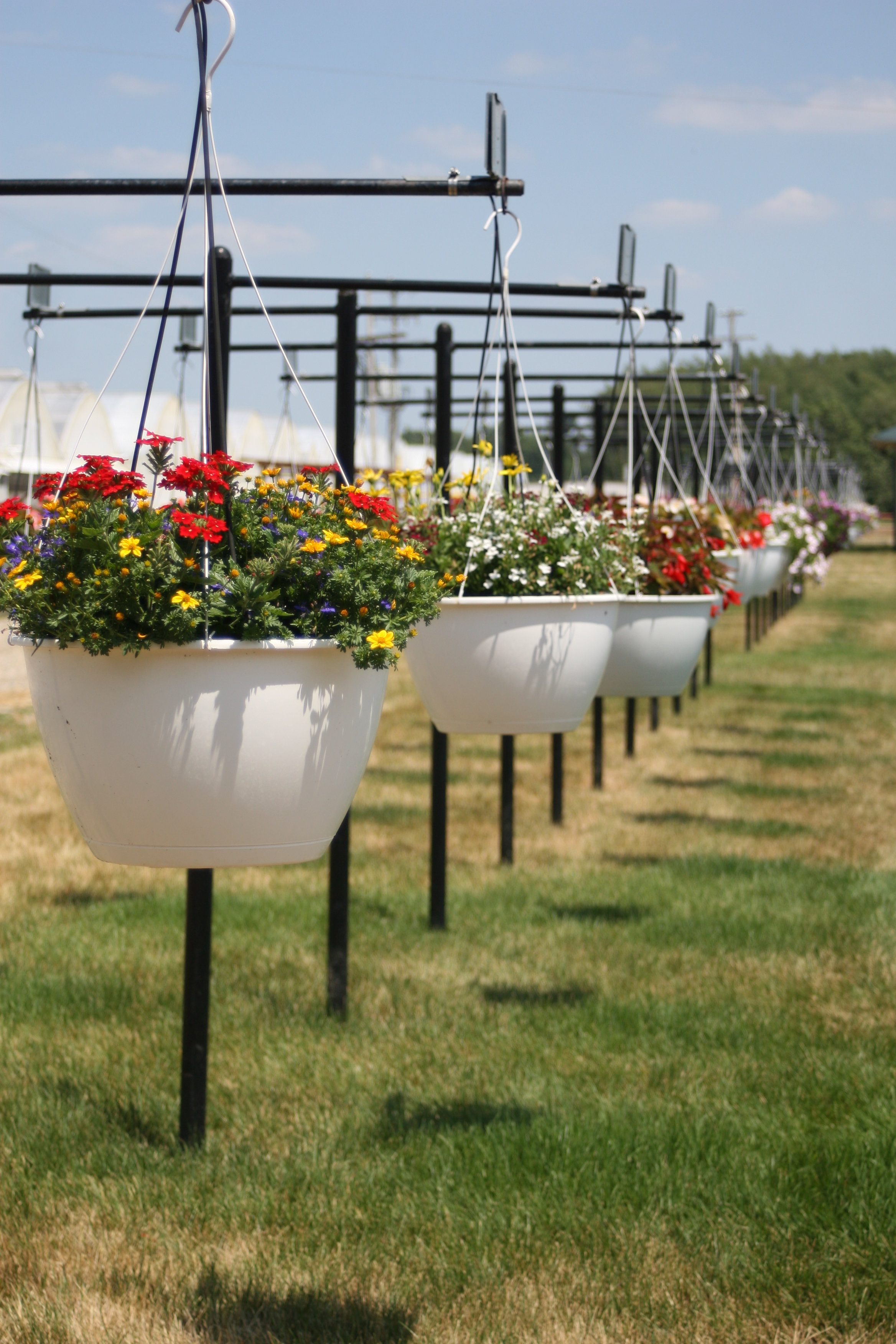 Trial Grounds