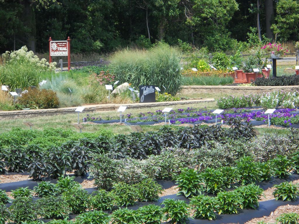 Trial Grounds