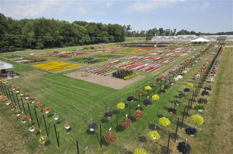 Trial Grounds