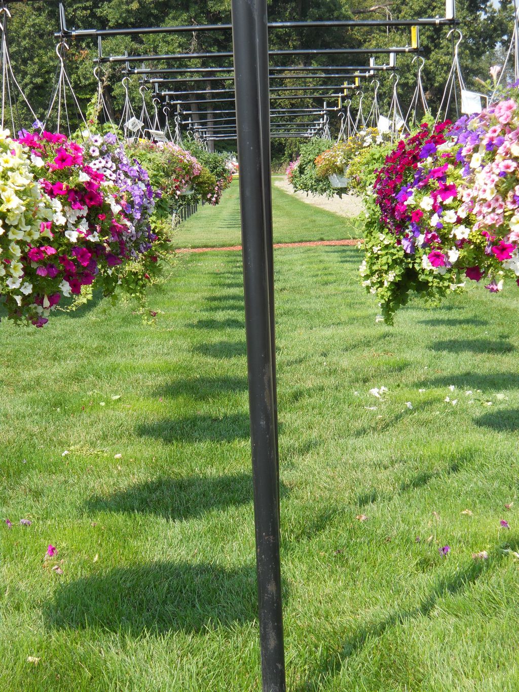 Trial Grounds