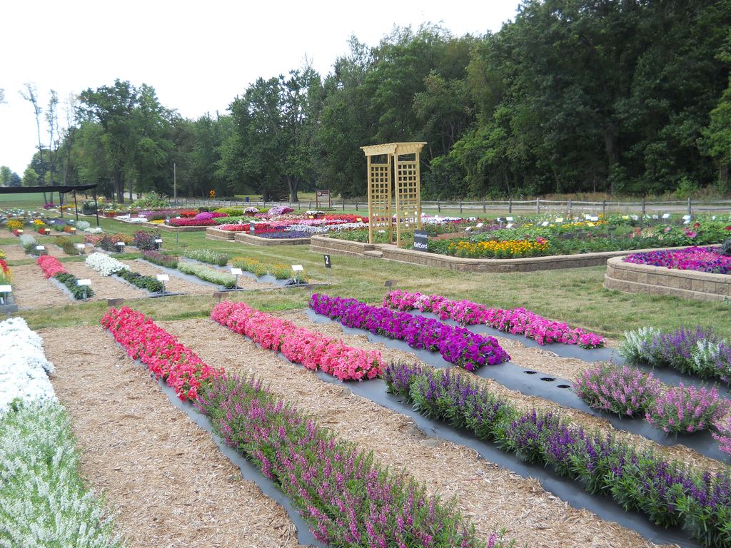 Trial Grounds