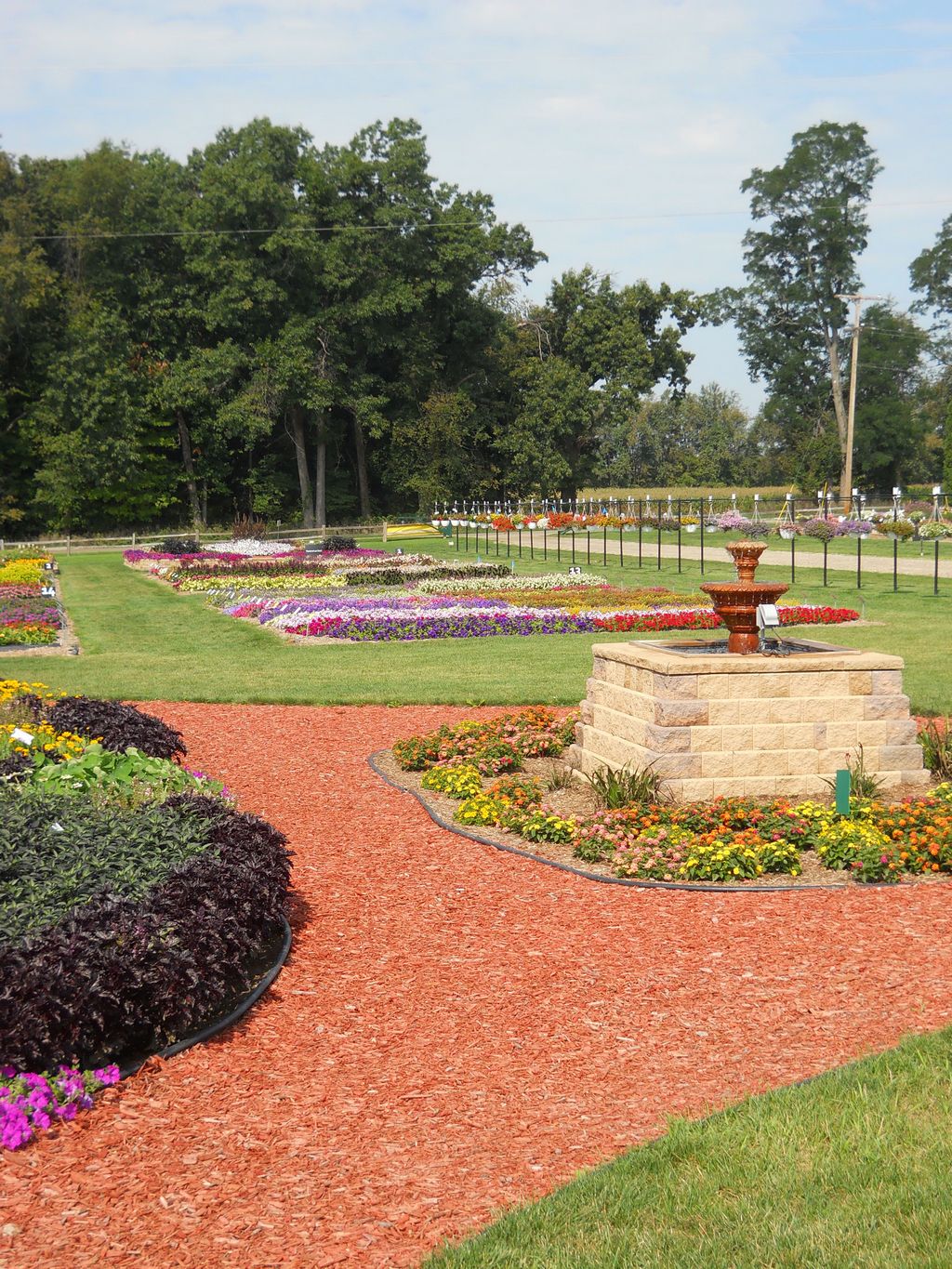 Trial Grounds