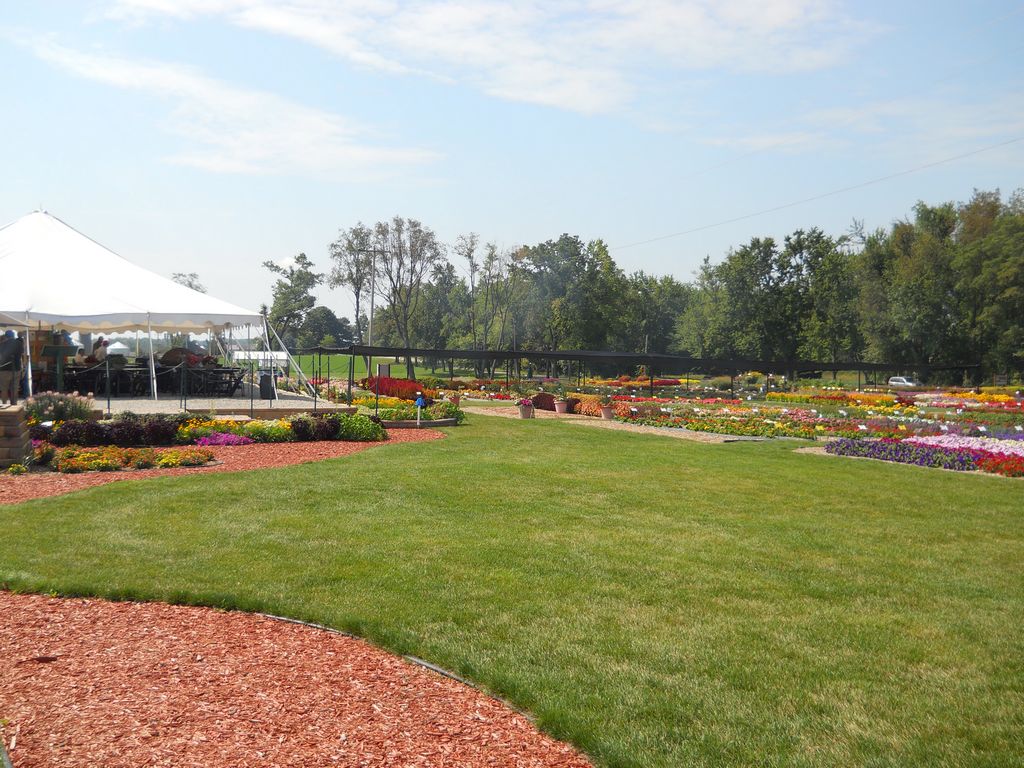Trial Grounds