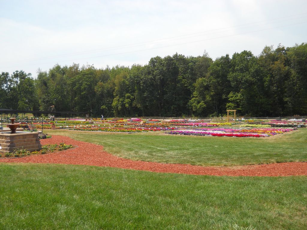 Trial Grounds