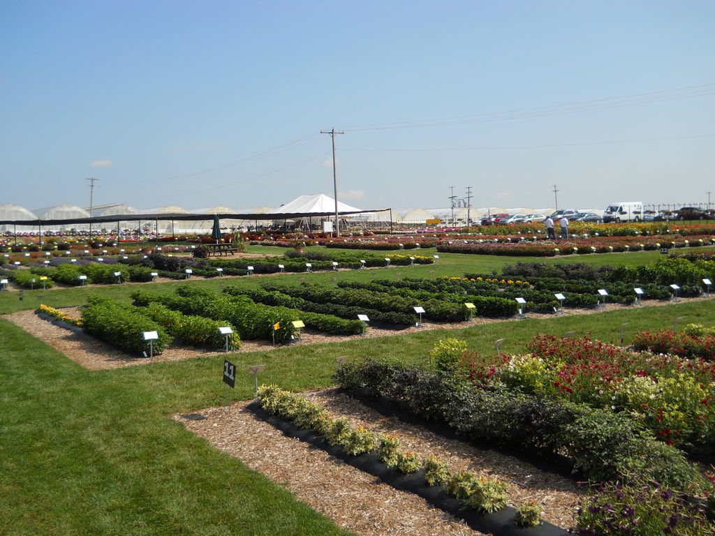Trial Grounds