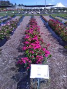 Thumbnail August 25, 2026