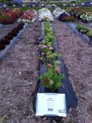 Thumbnail August 31, 2026